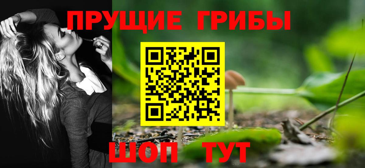 Псилоцибиновые грибы Psilocybe  Вход с VPN  Новозыбков 