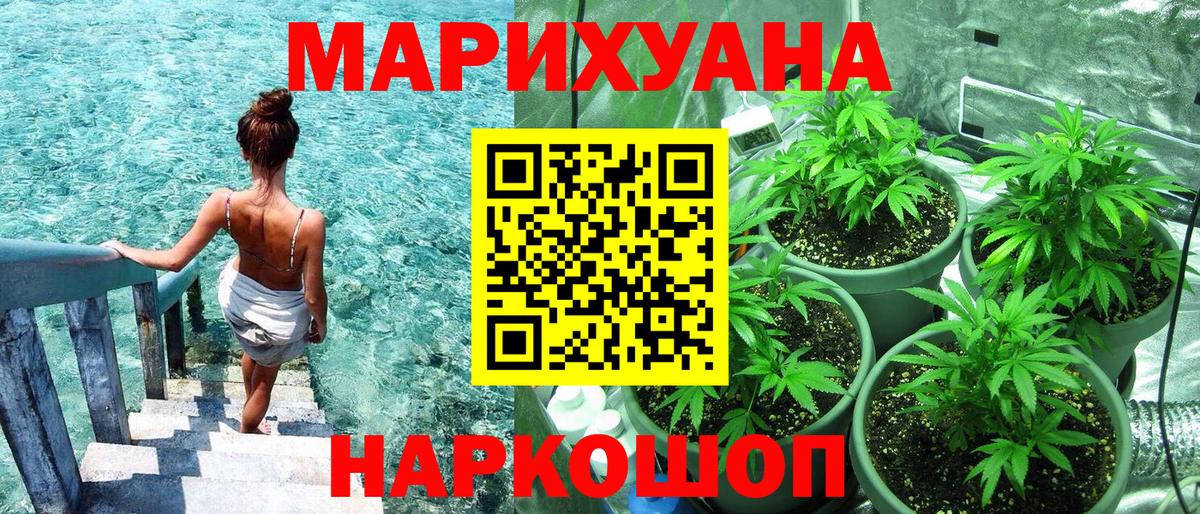 Бошки Шишки MAZAR Новозыбков